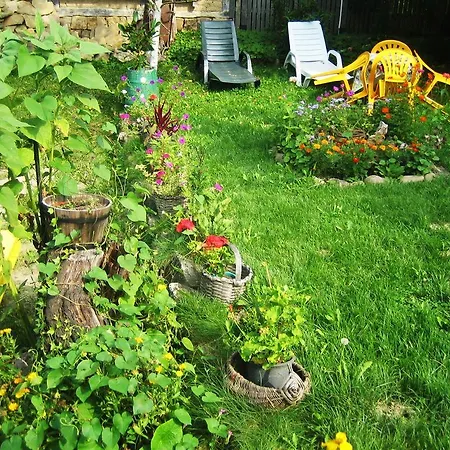 Grandpa's House