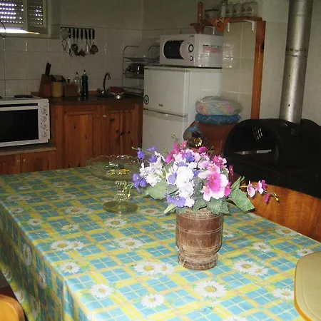 Grandpa's House